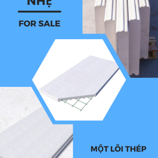 Bê tông nhẹ 100x600x1200- 1 lõi thép